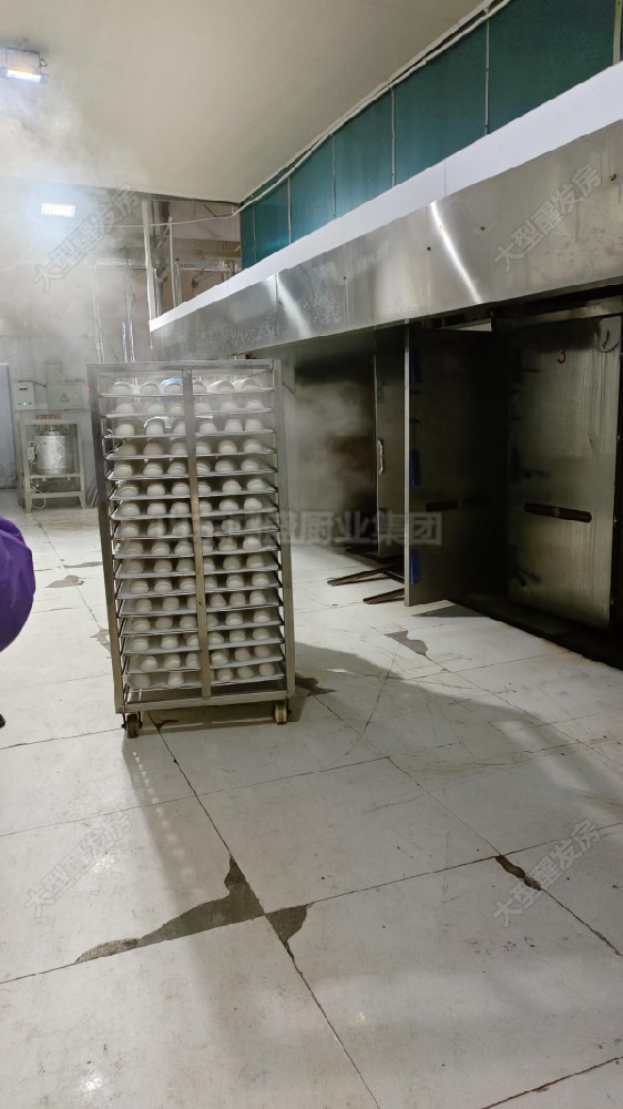 食品醒发房——蒸制美味的理想温床,食品醒房生产定制，河南商丘宁陵县