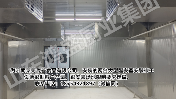 【河南商丘宁陵县】醒发效率高又可以大批量面食醒发的醒发房，专业生产安装，大型馒头醒房生产，食品醒房生产定制